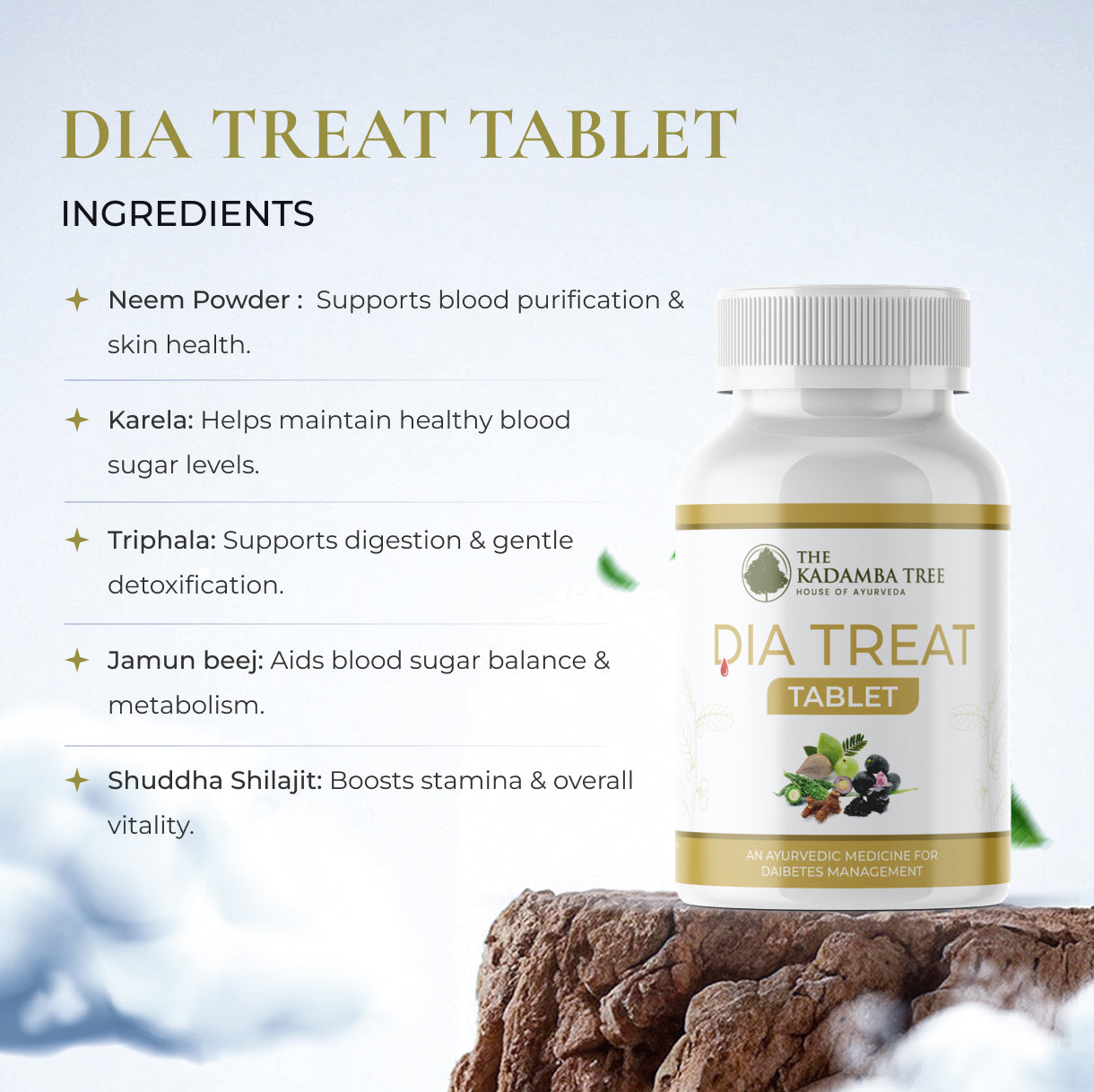 The Kadamba Tree - DIA Treat  Tablet (120 Tablets)